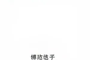 《六月周末档》十一个节点的时间轴总览与标注